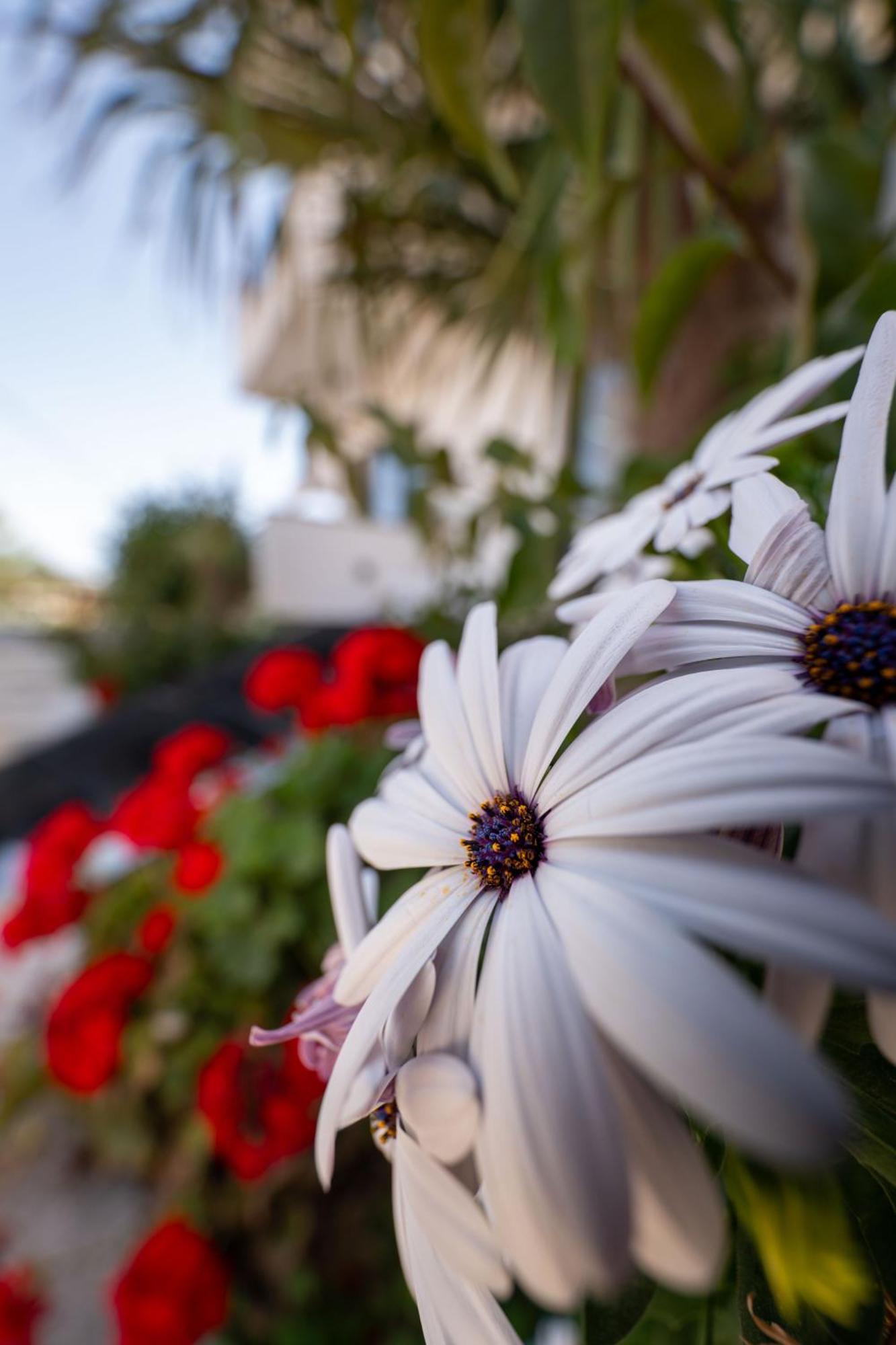 Guesthouse Siars Ksamil Dış mekan fotoğraf